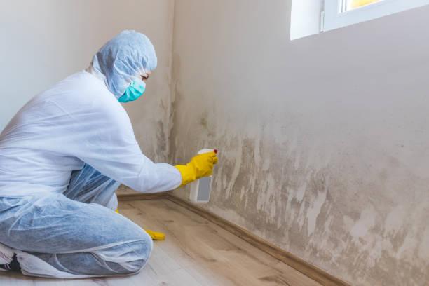 Hvac And Air Duct Mold Remediation inspection of HVAC system in Leland