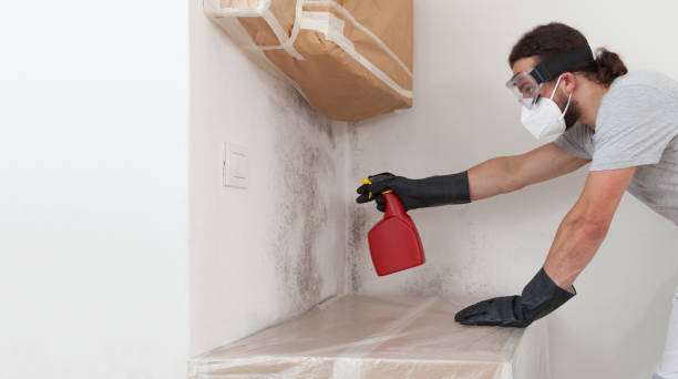 Attic Mold Remediation treatment on roof deck in Leland